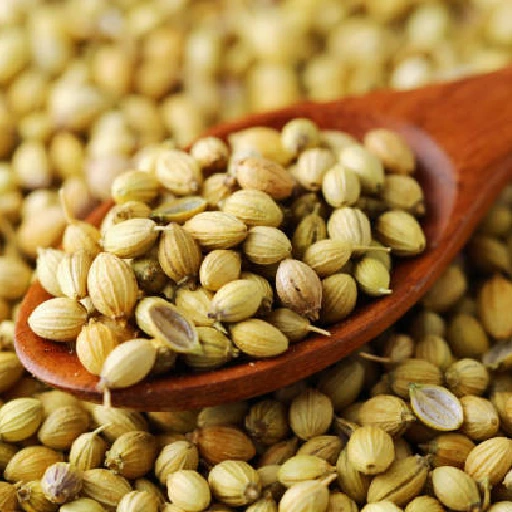 CORIANDER SEEDS