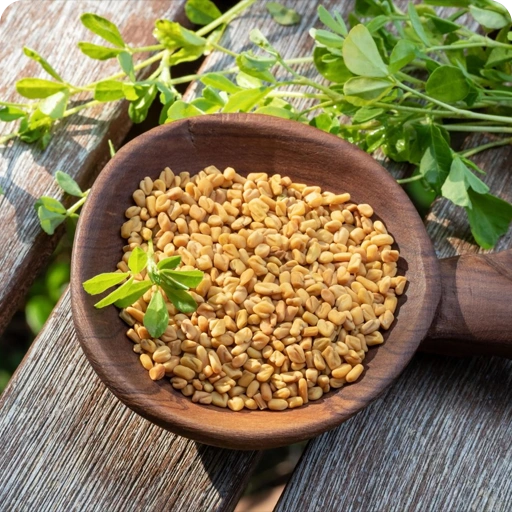 FENUGREEK SEEDS